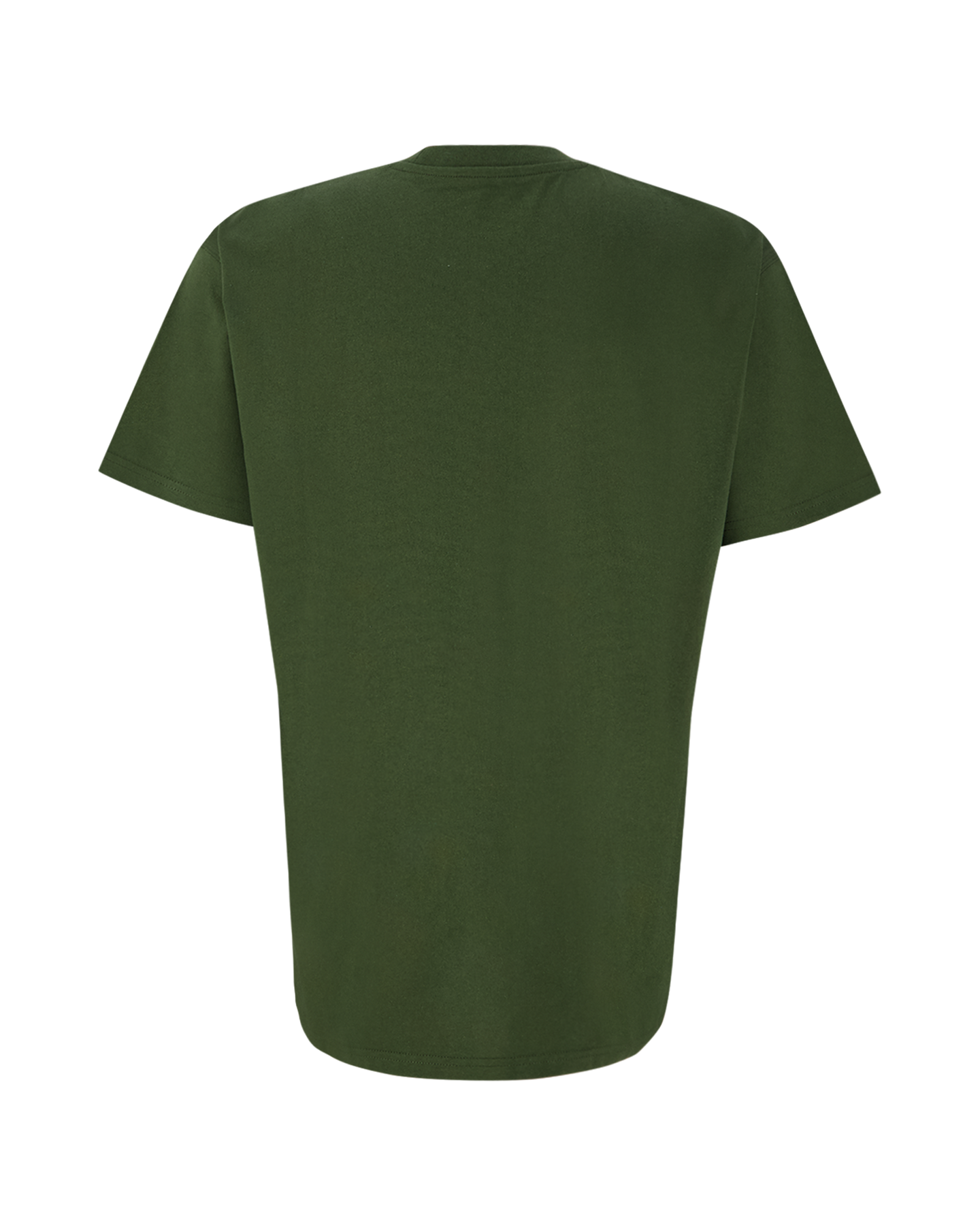 Carhartt WIP S/S American Script T-Shirt GROEN 2