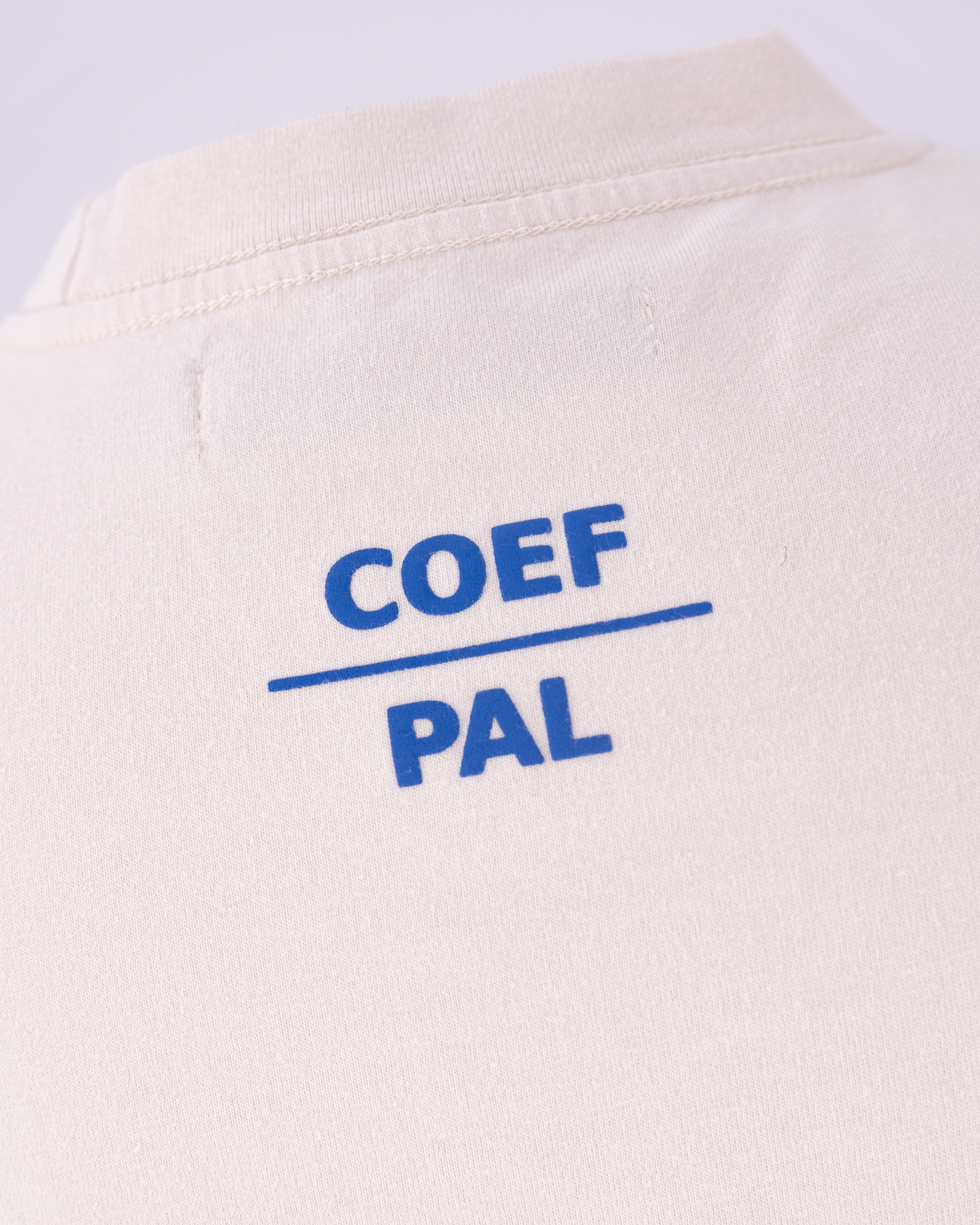 PAL Sporting Goods Coef / Pal International Pre Game Tshirt BEIGE 6