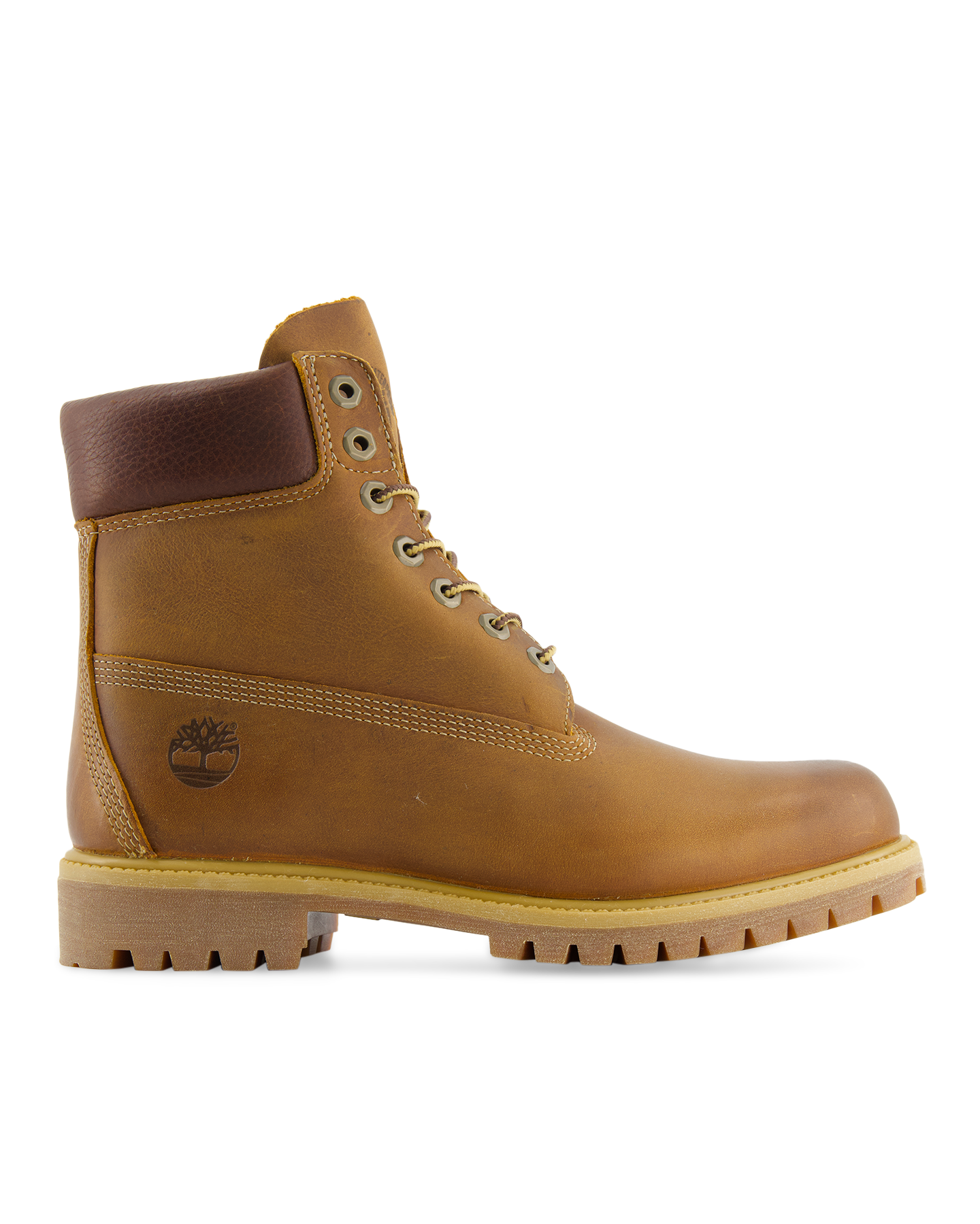 Timberland 6 Inch Lace Up Waterproof Boot BRUIN 1